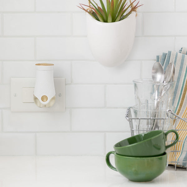 PlugIns Refill 5 CT, Blue Odyssey, 3.35 FL. OZ. Total, Scented Oil Air Freshener Infused with Essential Oils